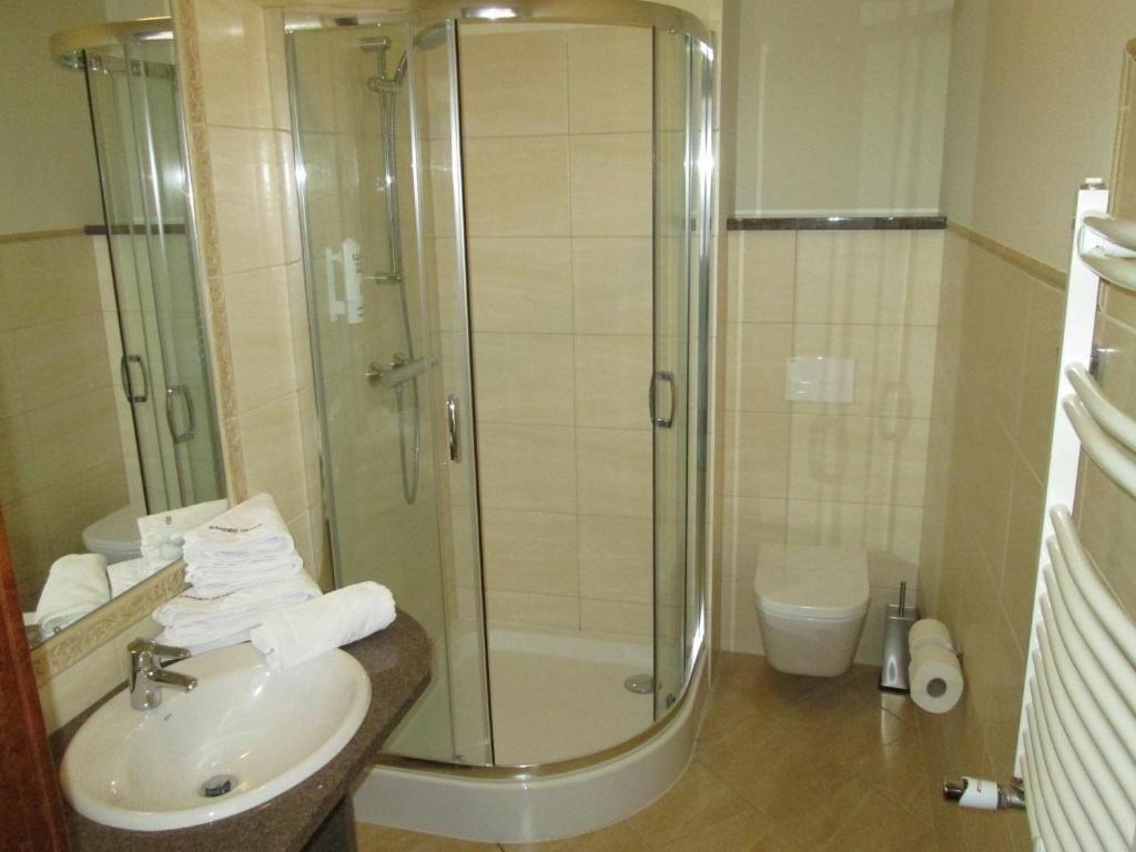 Отель Hotel Sandro Silver Лешно